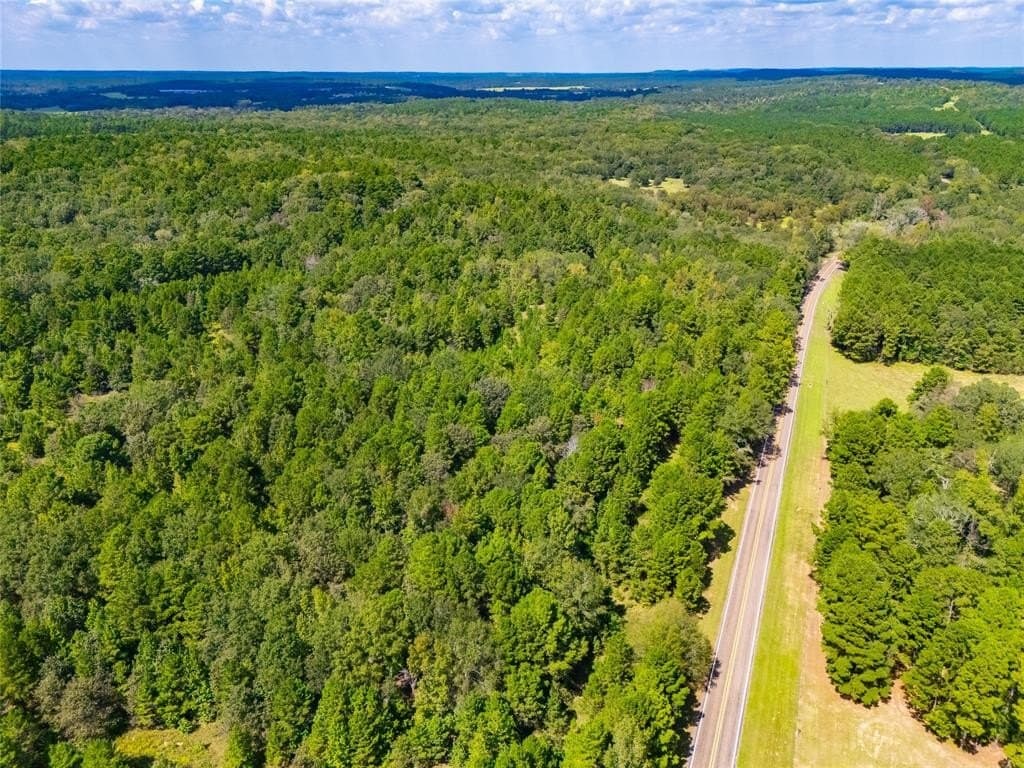 73 acres in Anderson County - photo 11