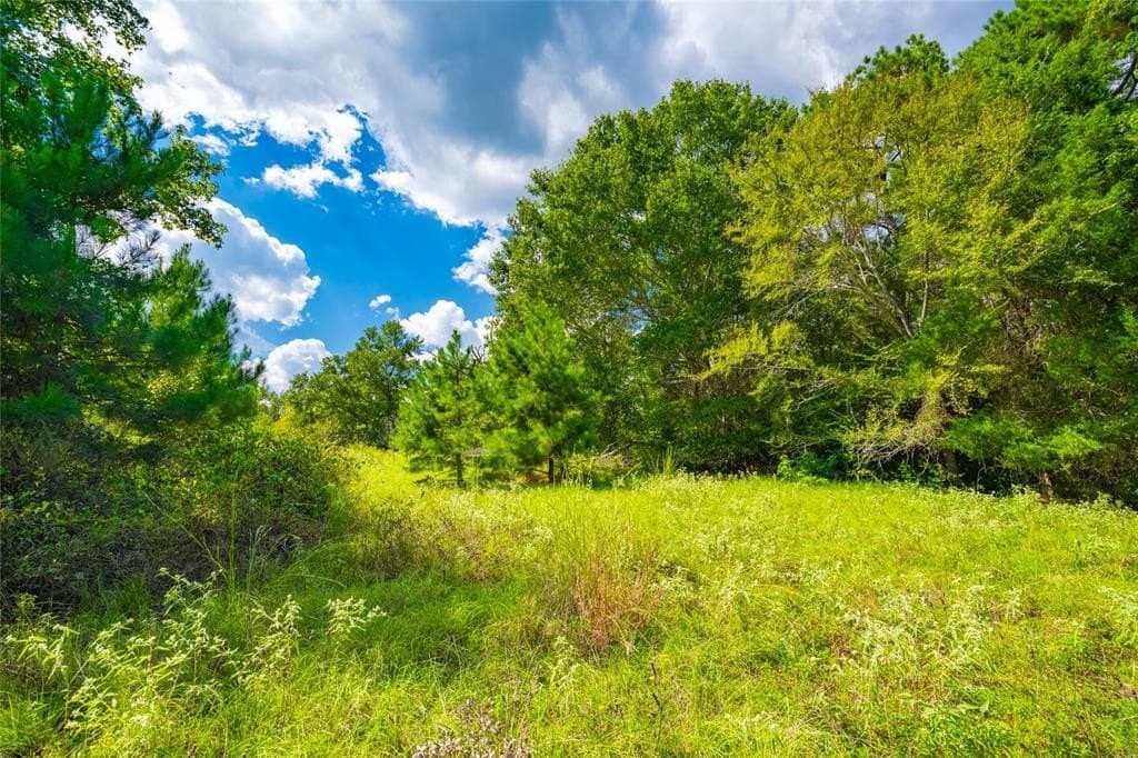 73 acres in Anderson County - photo 2
