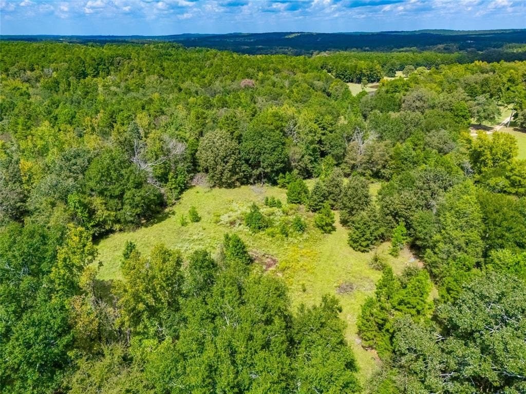 73 acres in Anderson County - photo 10
