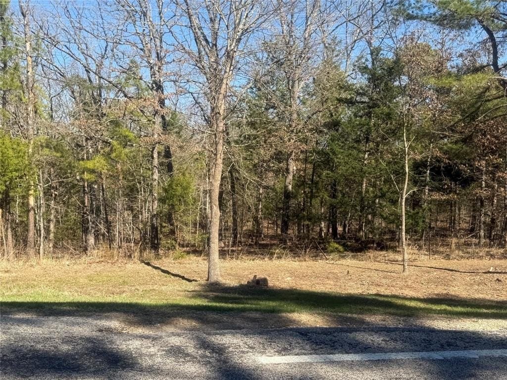 2.12 acres in Lamar County - photo 6
