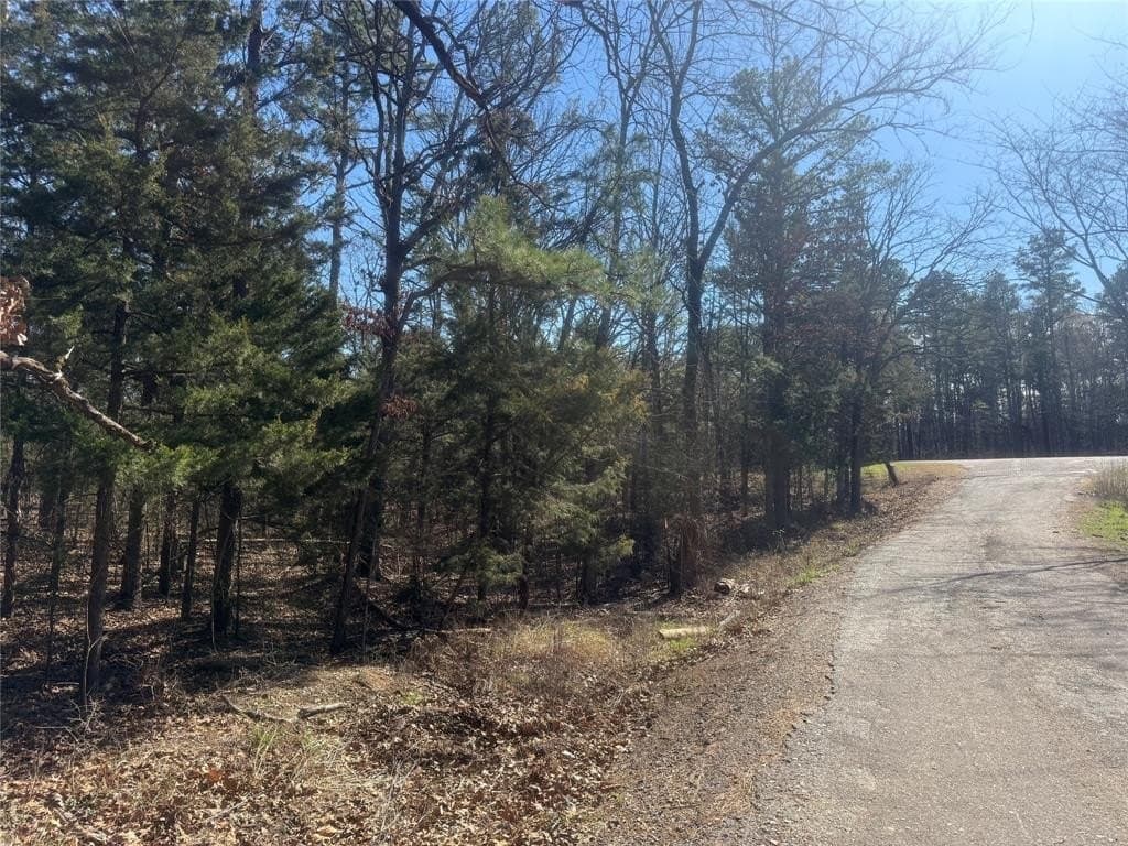 2.12 acres in Lamar County - photo 3