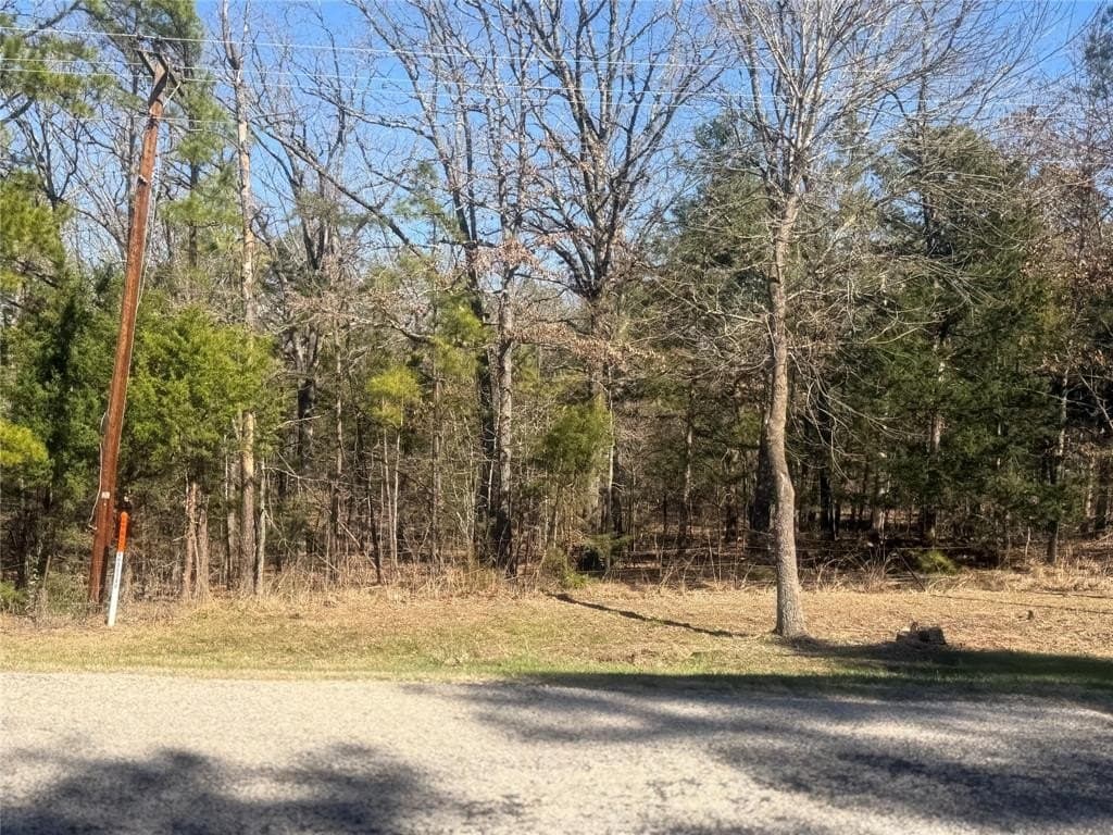 2.12 acres in Lamar County - photo 5