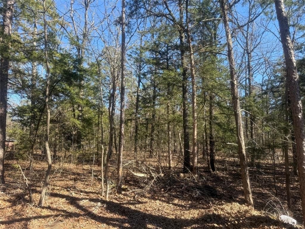 2.12 acres in Lamar County - photo 2