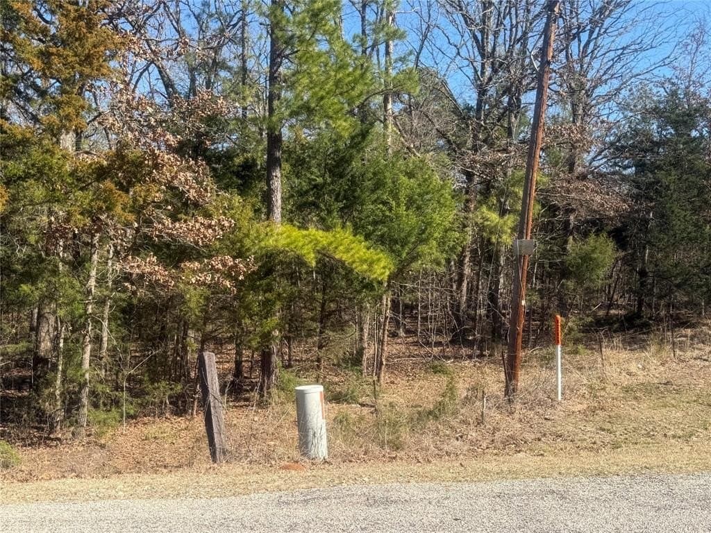 2.12 acres in Lamar County - photo 4
