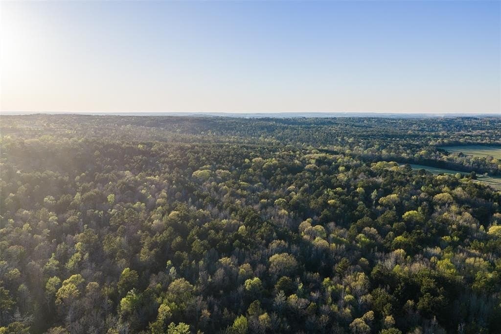 300.71 acres in Cherokee County - photo 31