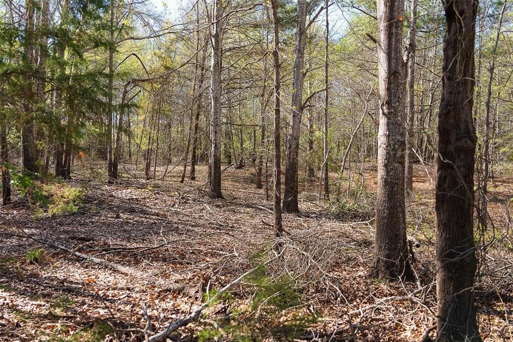 300.71 acres in Cherokee County - photo 23