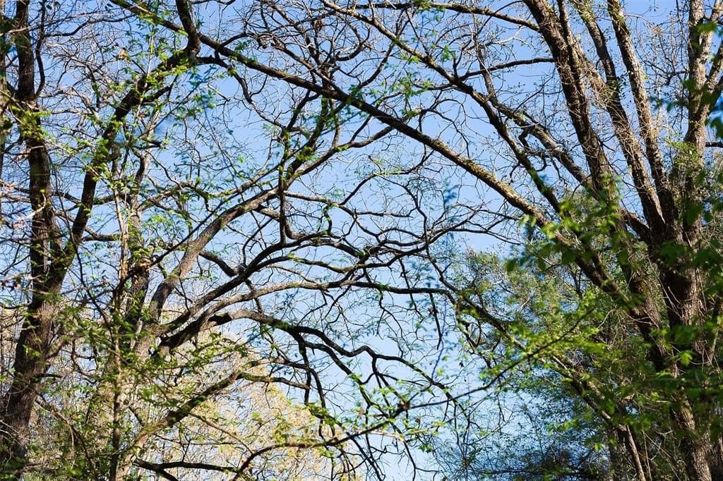 300.71 acres in Cherokee County - photo 7