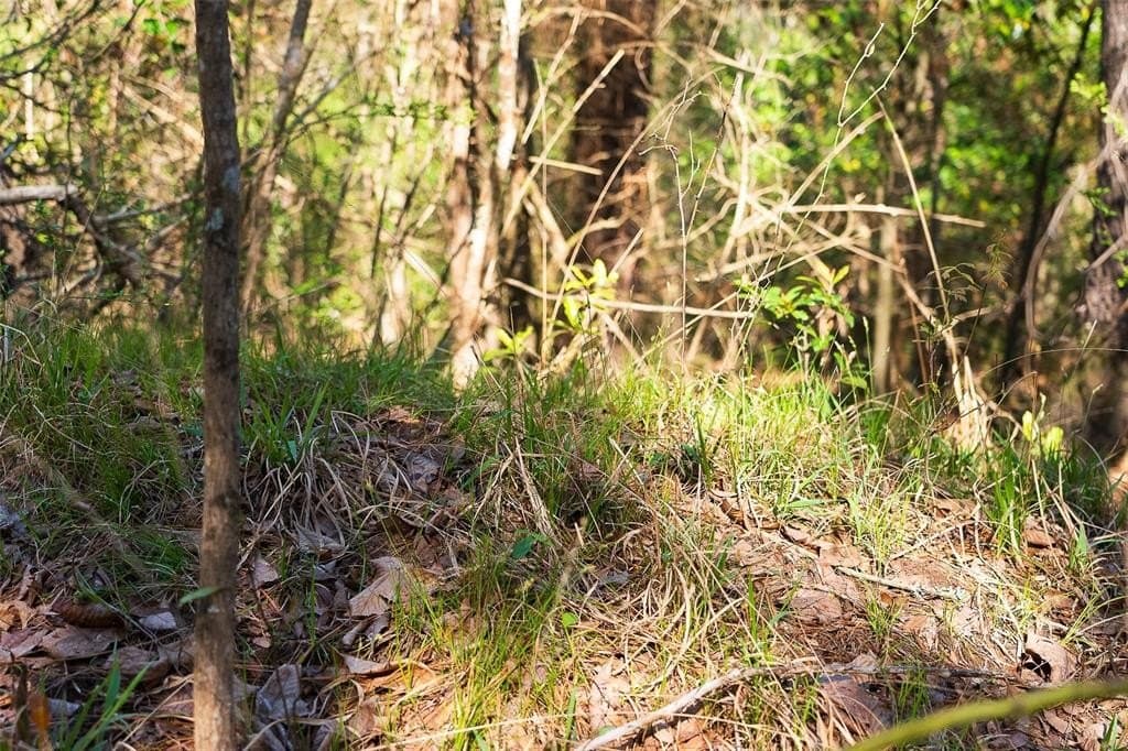 300.71 acres in Cherokee County - photo 22