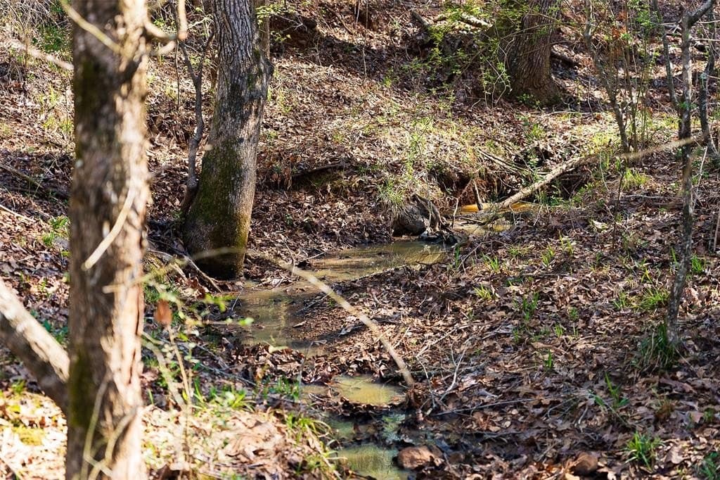 300.71 acres in Cherokee County - photo 26
