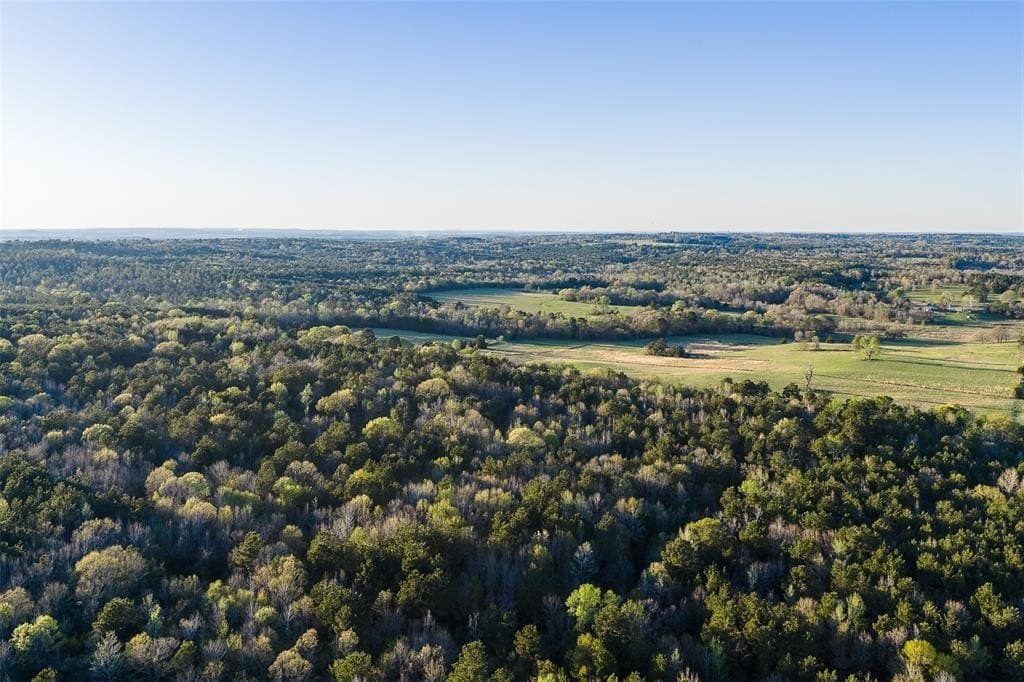 300.71 acres in Cherokee County - photo 6