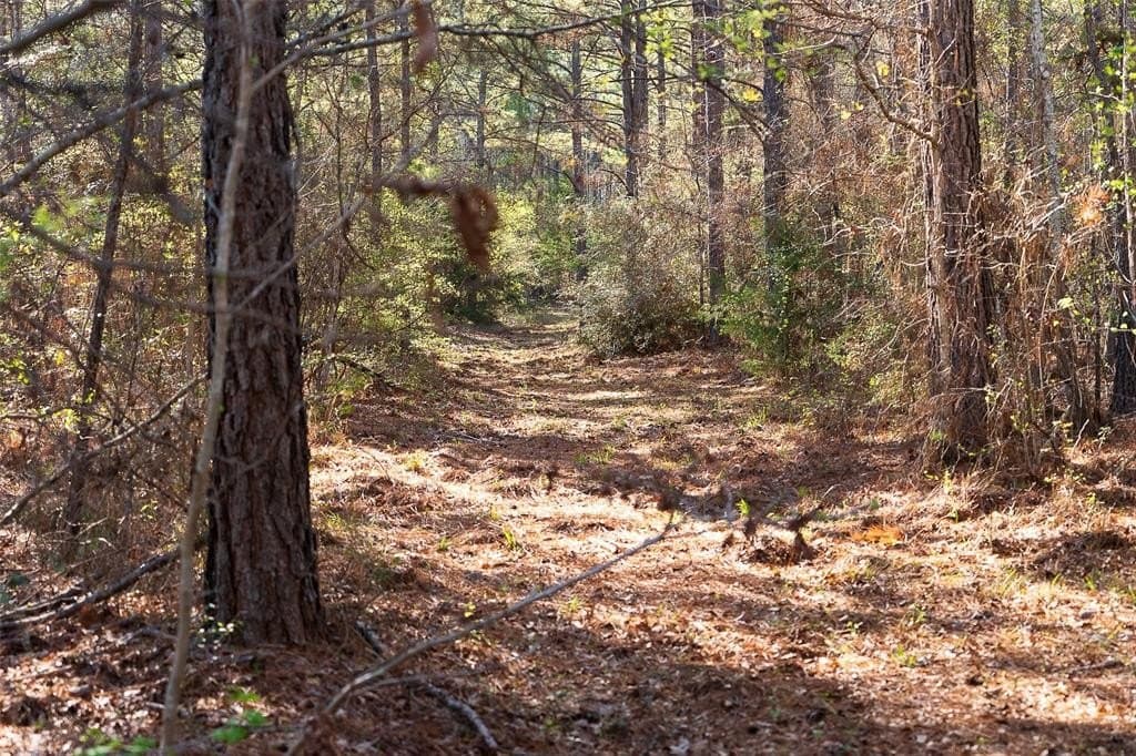 300.71 acres in Cherokee County - photo 28