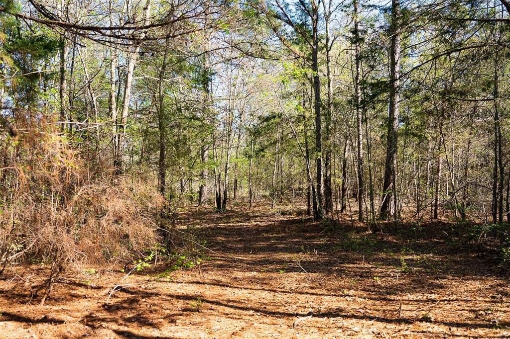 300.71 acres in Cherokee County - photo 24