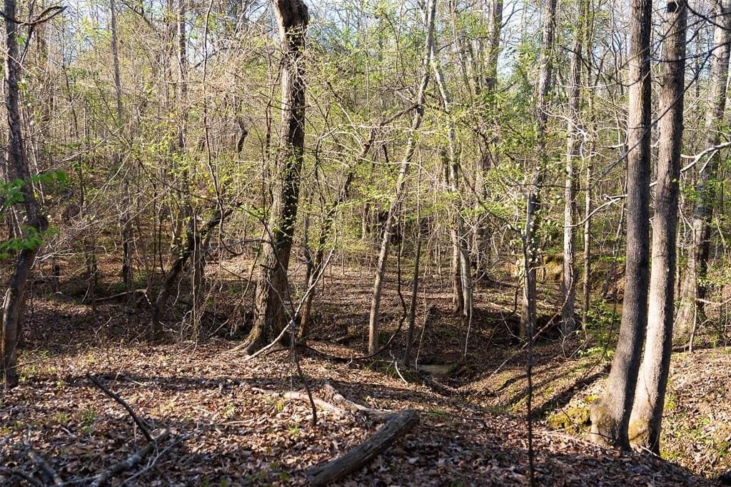300.71 acres in Cherokee County - photo 2