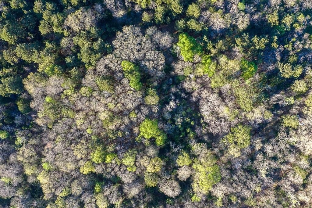 300.71 acres in Cherokee County - photo 4
