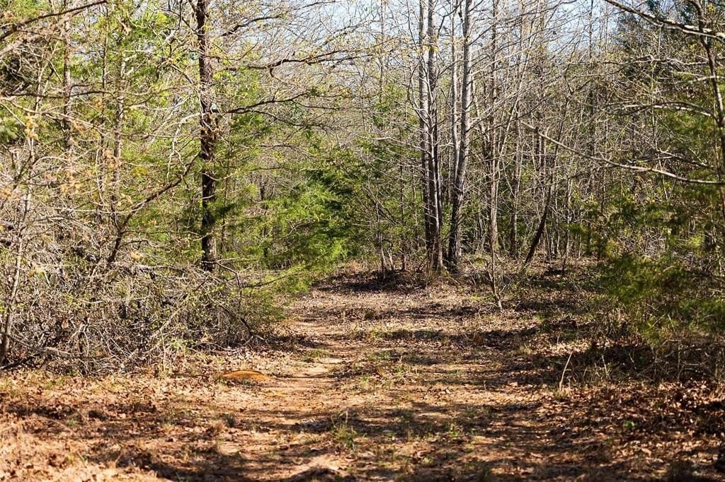300.71 acres in Cherokee County - photo 25