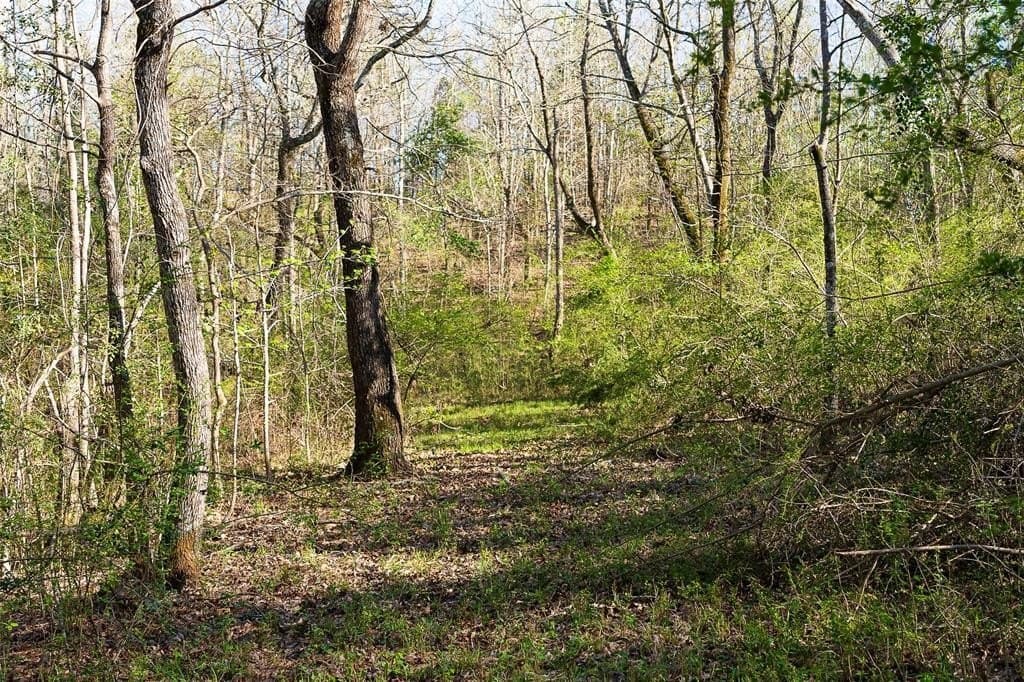 300.71 acres in Cherokee County - photo 3