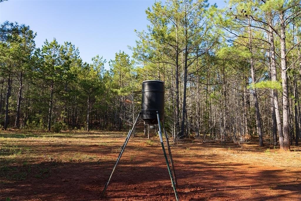 300.71 acres in Cherokee County - photo 14