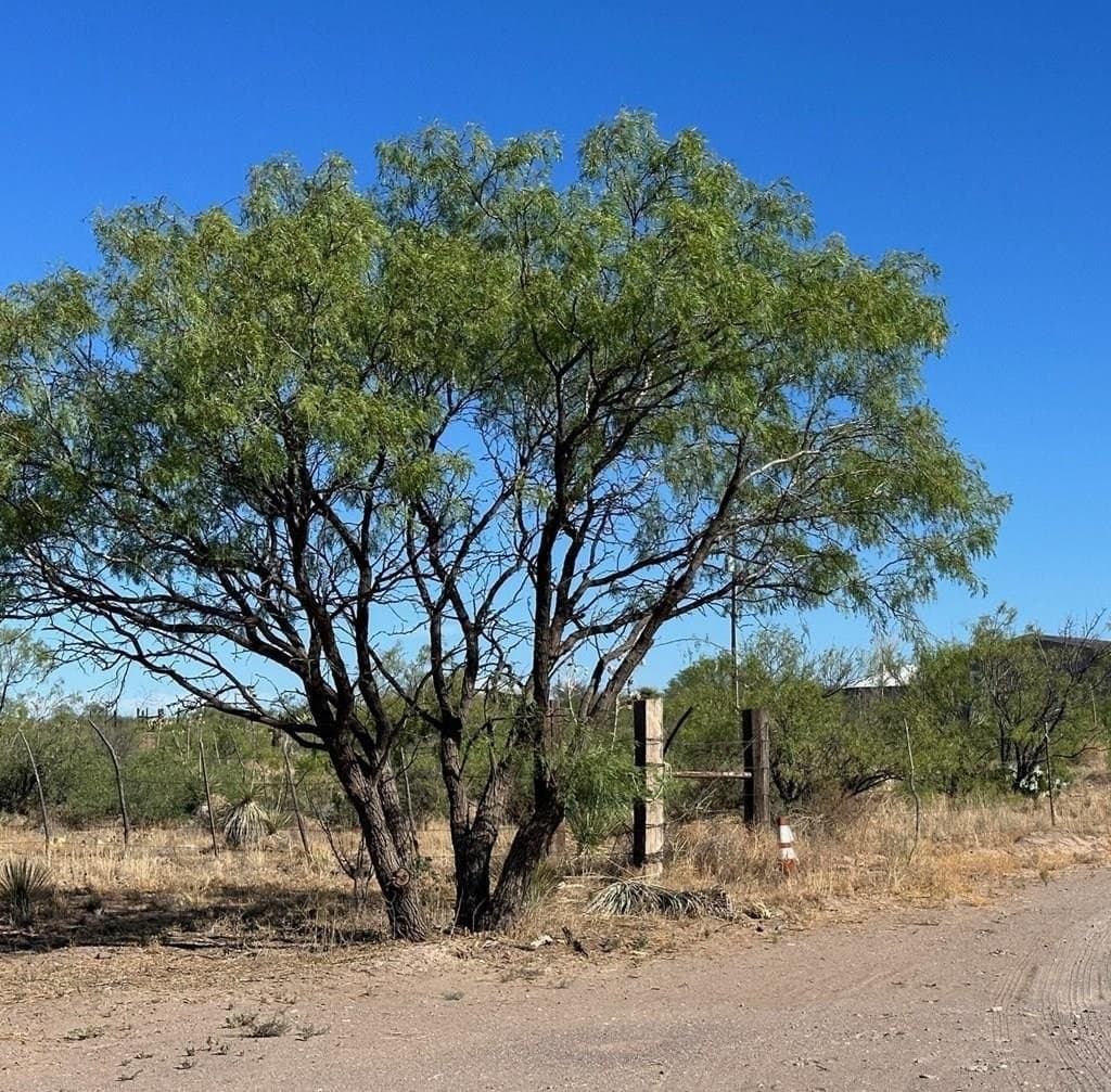 0.8 acres in Presidio County - photo 2