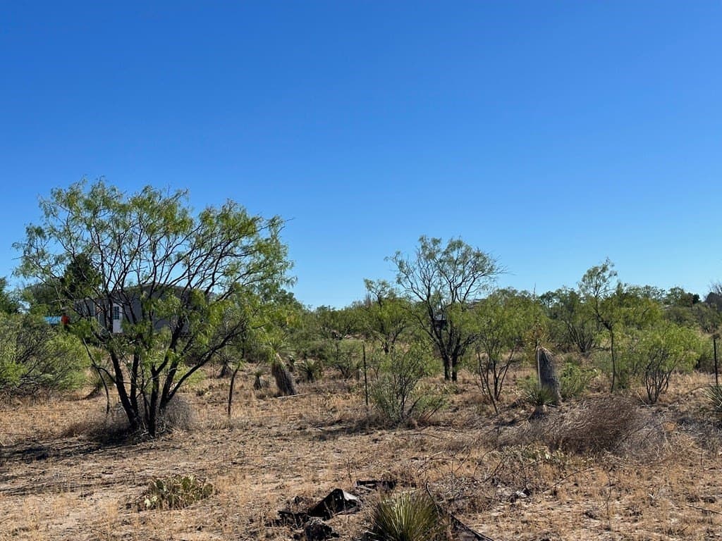 0.8 acres in Presidio County - photo 3