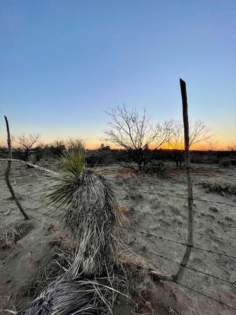 0.8 acres in Presidio County - photo 4