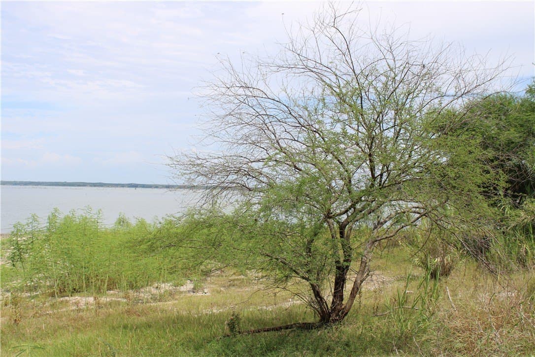 1.68 acres in Live Oak County - photo 10