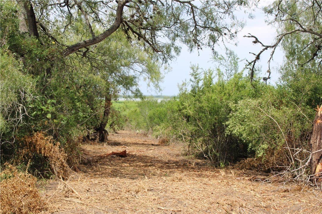 1.68 acres in Live Oak County - photo 4