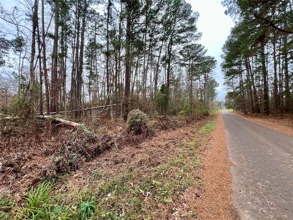 5 acres in Upshur County - photo 8