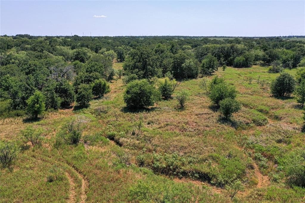131.7 acres in Jack County - photo 3