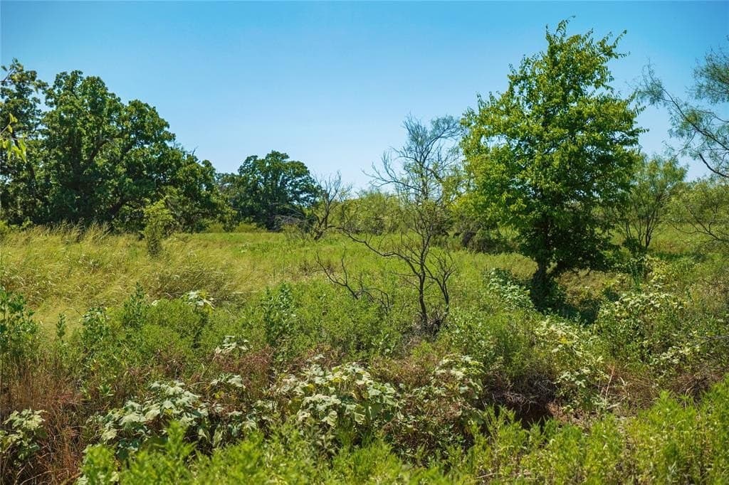131.7 acres in Jack County - photo 24