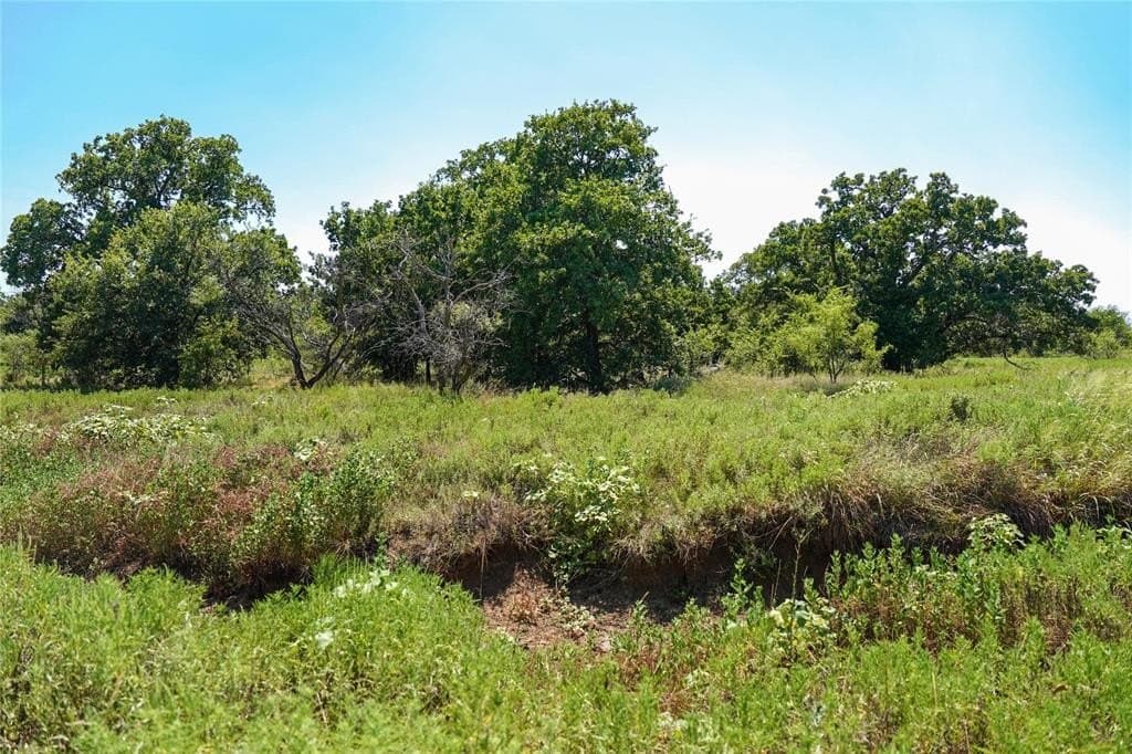 131.7 acres in Jack County - photo 22