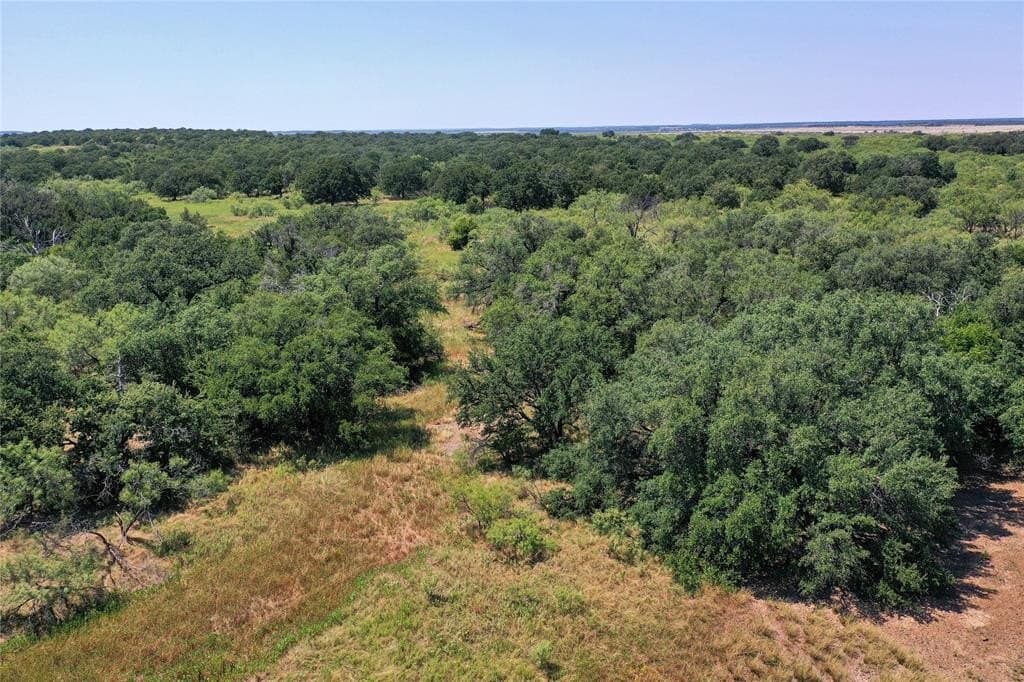 131.7 acres in Jack County - photo 17