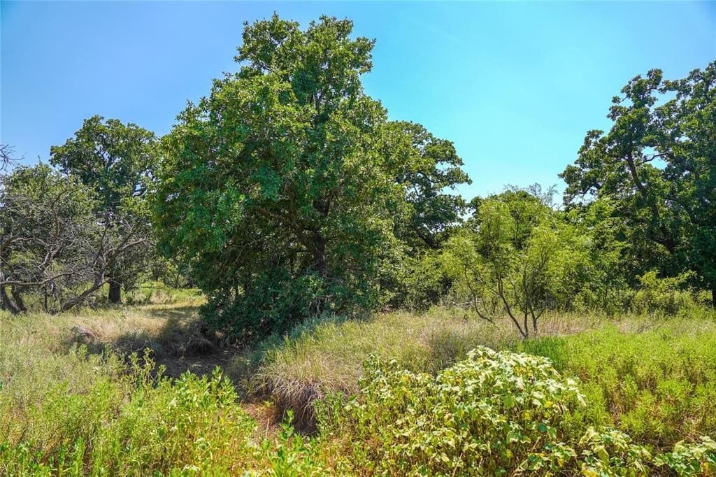 131.7 acres in Jack County - photo 39
