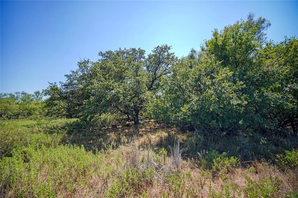 131.7 acres in Jack County - photo 21
