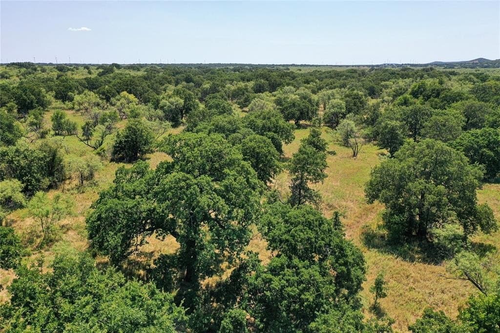 131.7 acres in Jack County - photo 16
