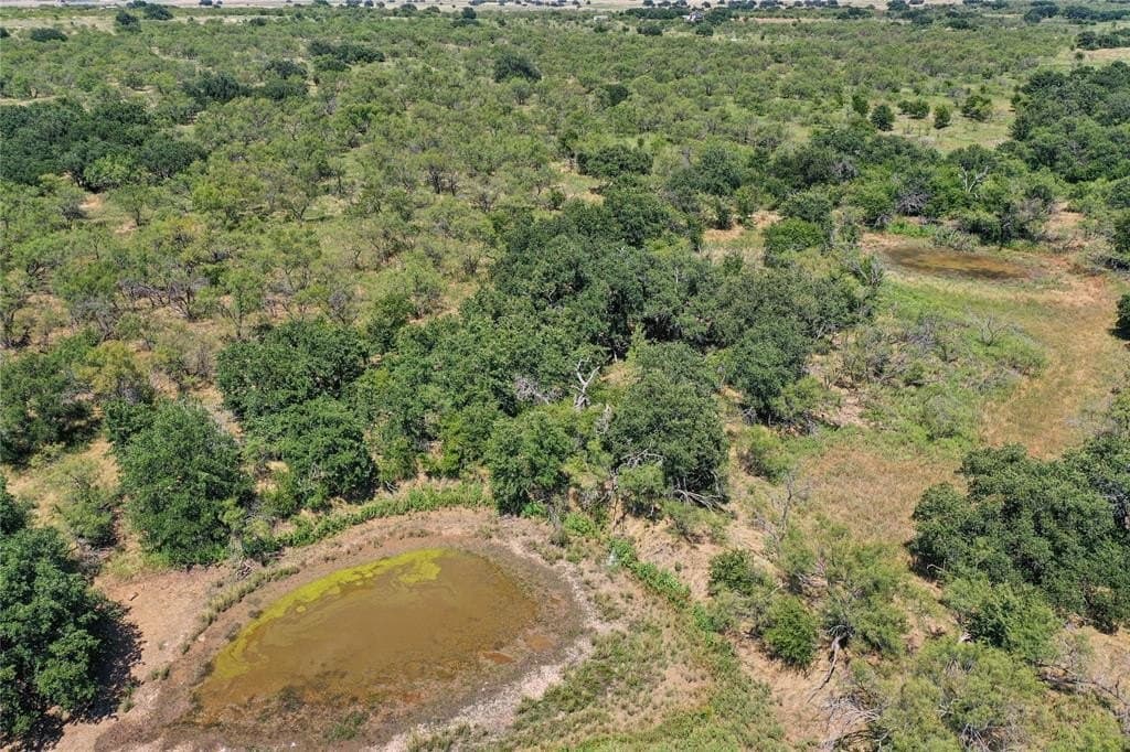 131.7 acres in Jack County - photo 13