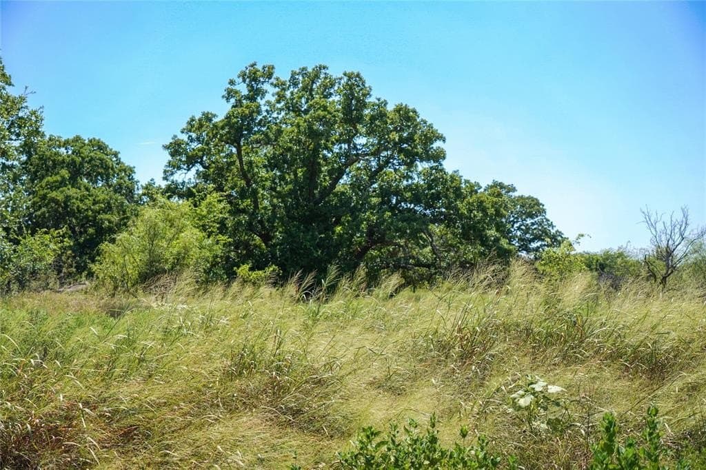 131.7 acres in Jack County - photo 23