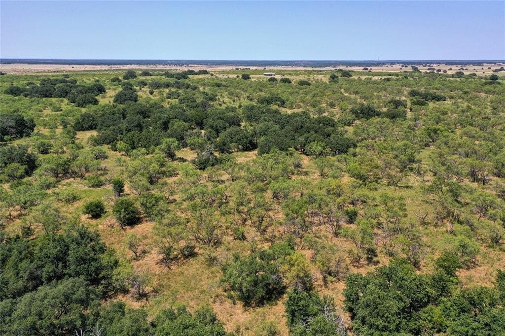 131.7 acres in Jack County - photo 18