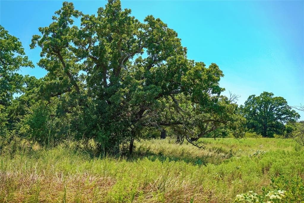 131.7 acres in Jack County - photo 37