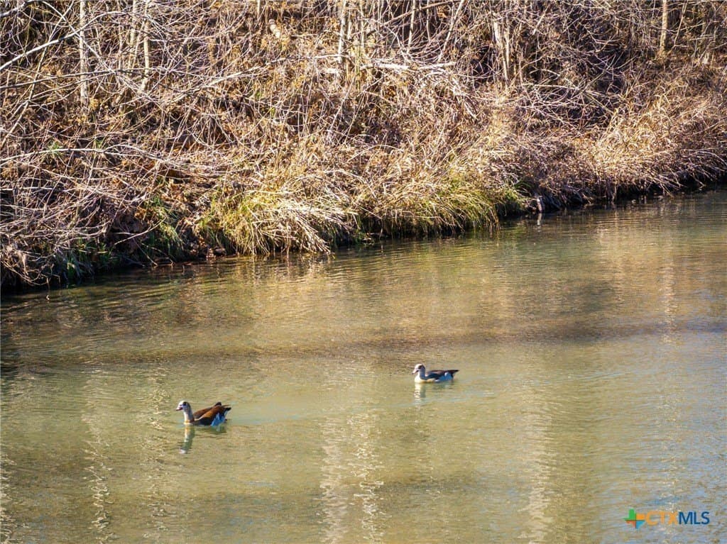 1.01 acres in Comal County - photo 19