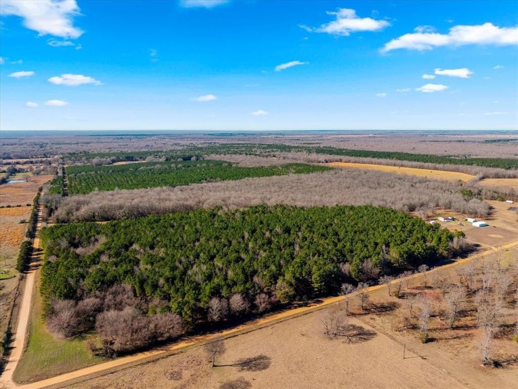 195 acres in Bowie County - photo 12