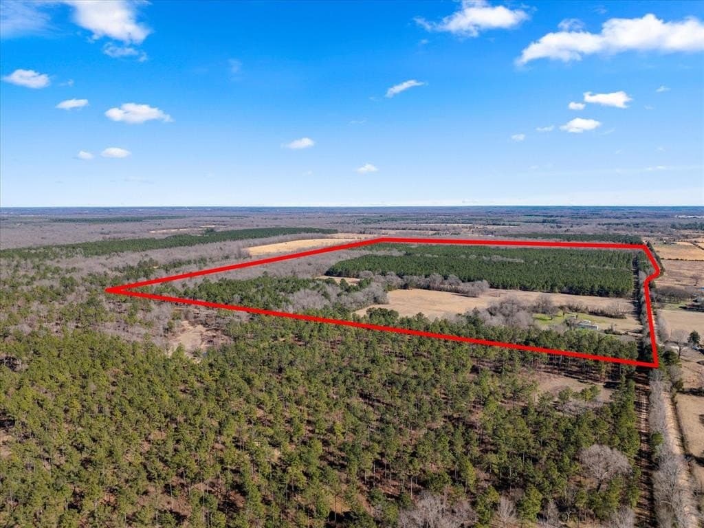 195 acres in Bowie County - photo 30