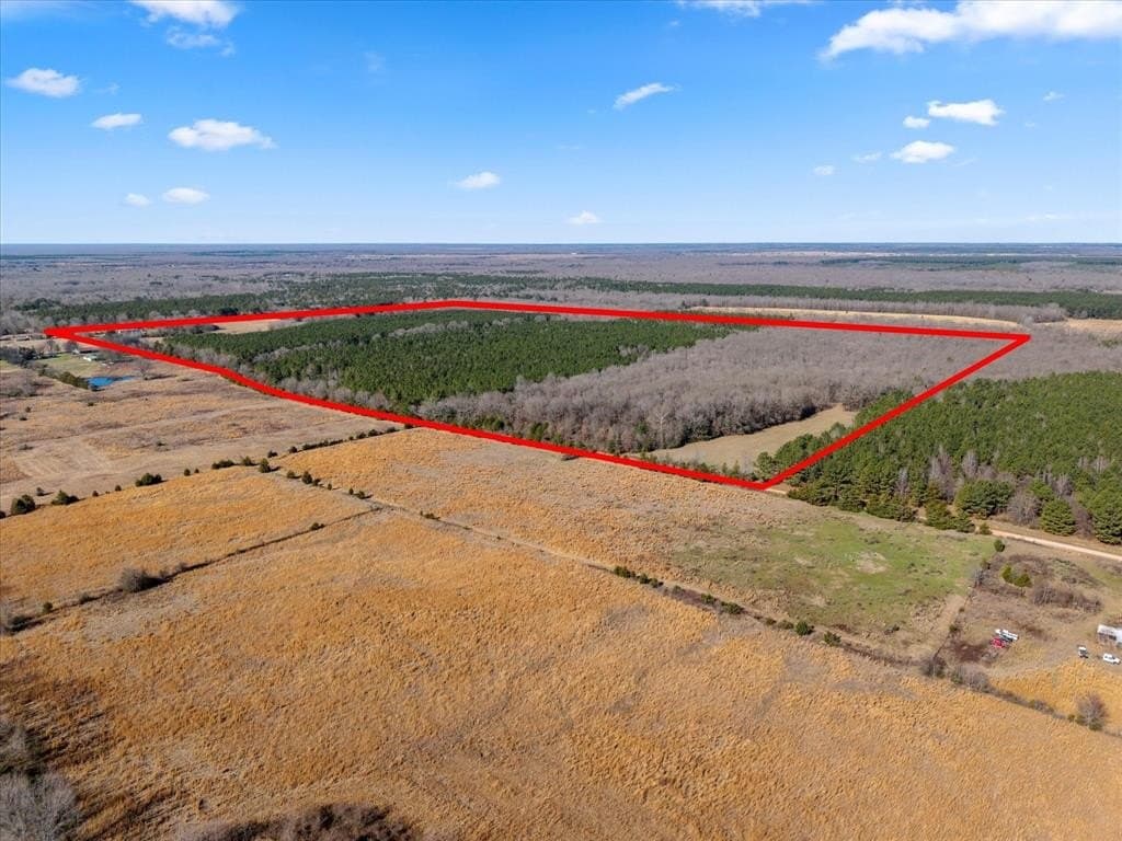 195 acres in Bowie County - photo 22
