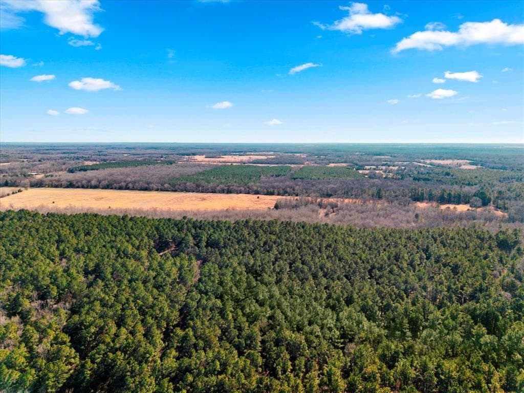 195 acres in Bowie County - photo 10