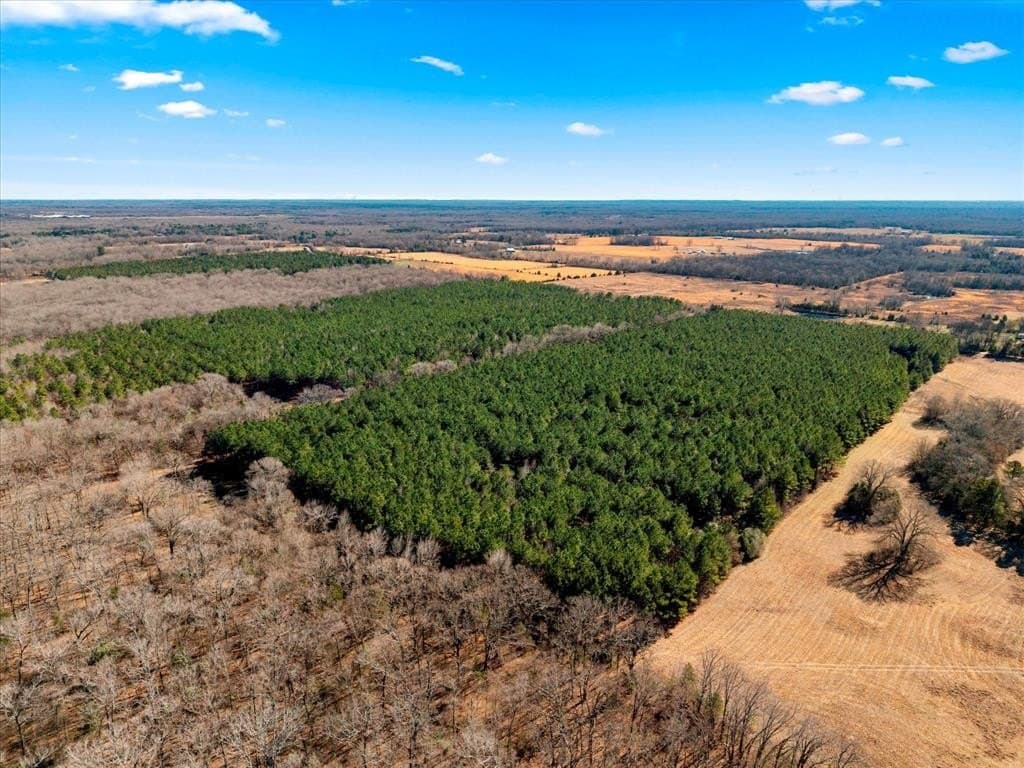 195 acres in Bowie County - photo 16