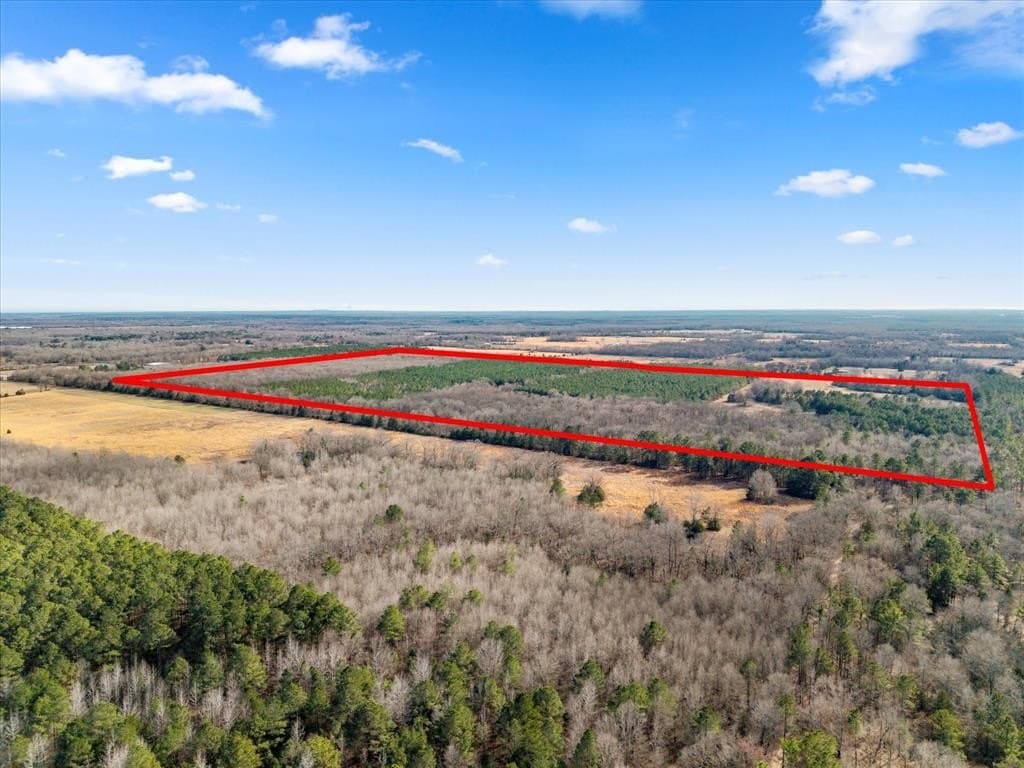 195 acres in Bowie County - photo 36