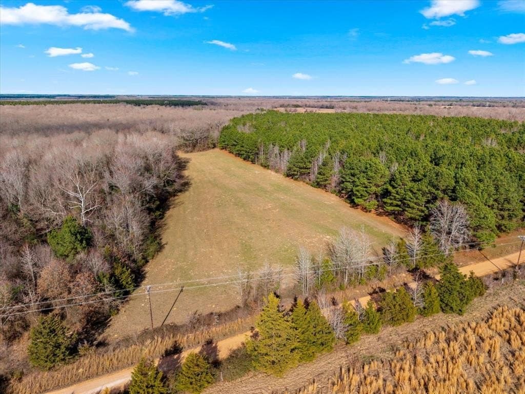 195 acres in Bowie County - photo 6