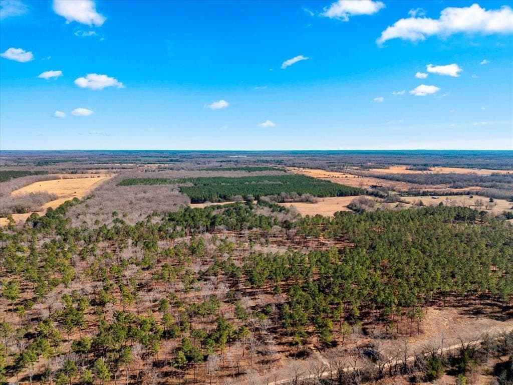 195 acres in Bowie County - photo 17