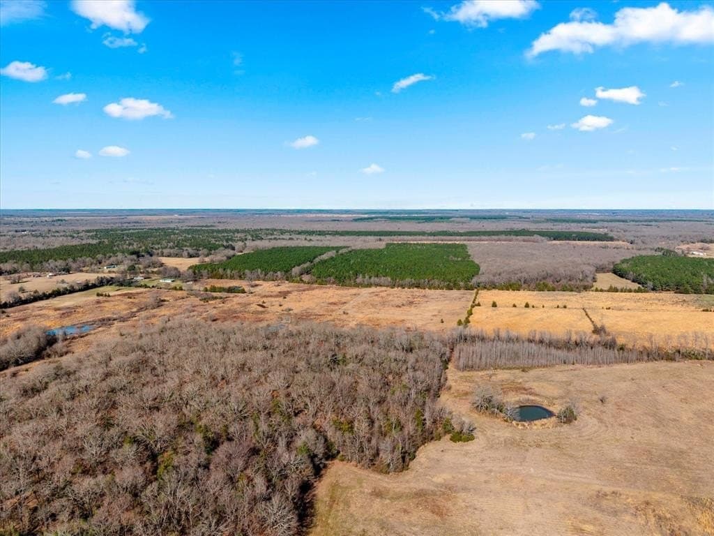 195 acres in Bowie County - photo 20