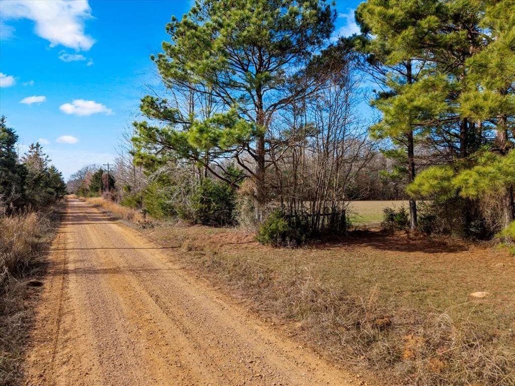 195 acres in Bowie County - photo 8