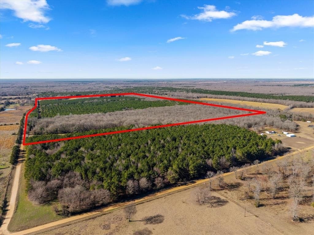 195 acres in Bowie County - photo 31